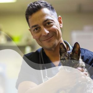 Profesional-Vet-6