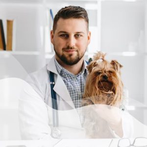 Profesional-Vet