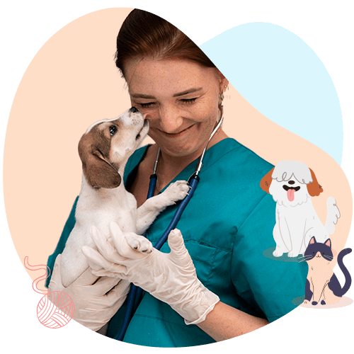 Profesionales Top Vet