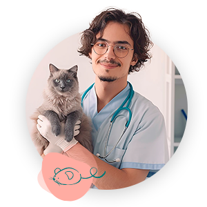 Profesional top vet