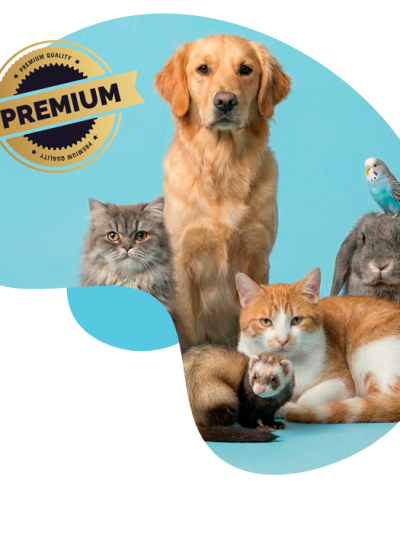 Suscripción_premium_elige_tu_plan