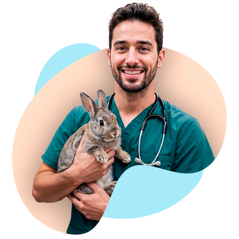 Top-vet-home