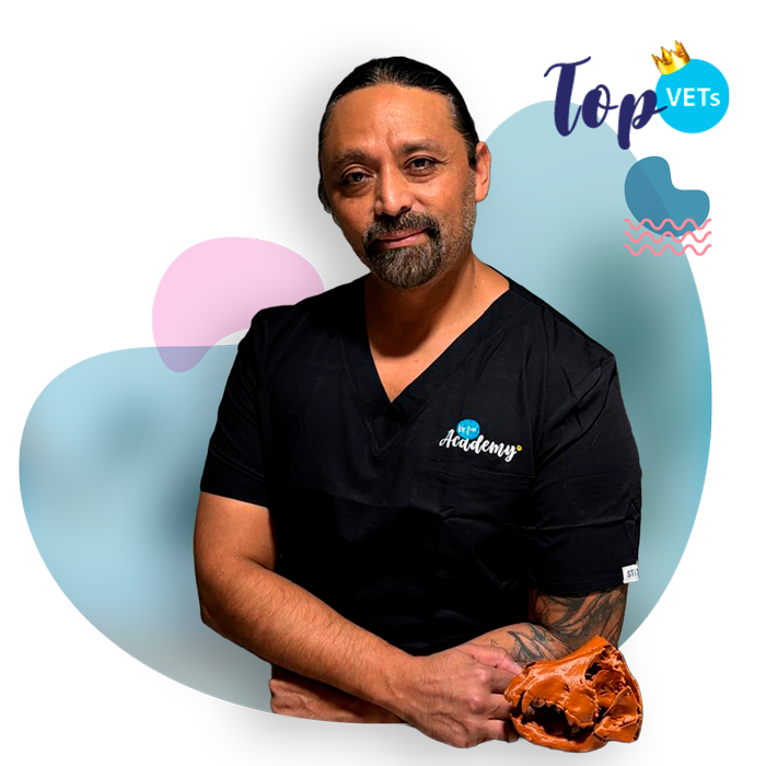 TopVet-Luis